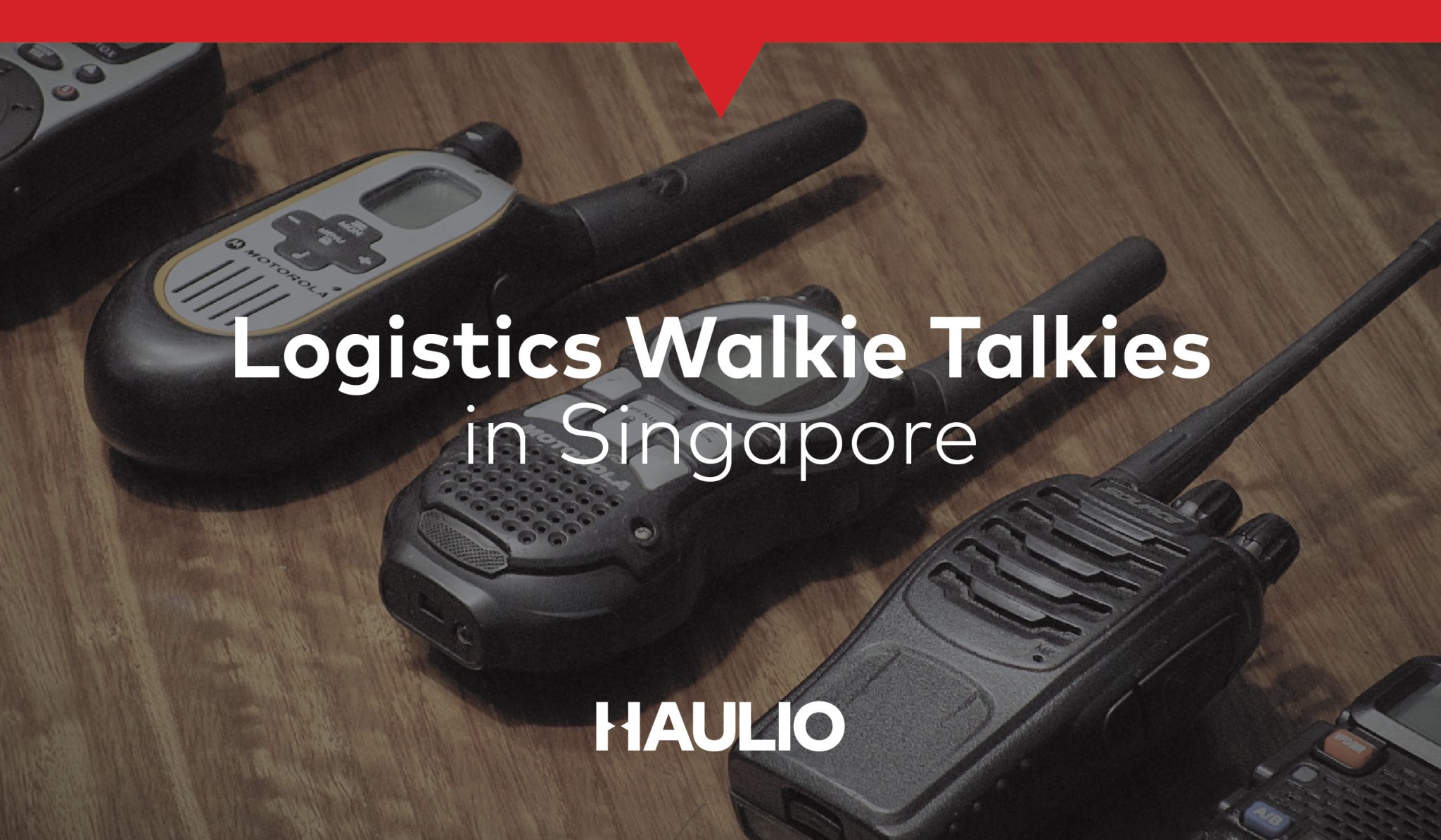 Container Stuffing and Stripping - Haulio