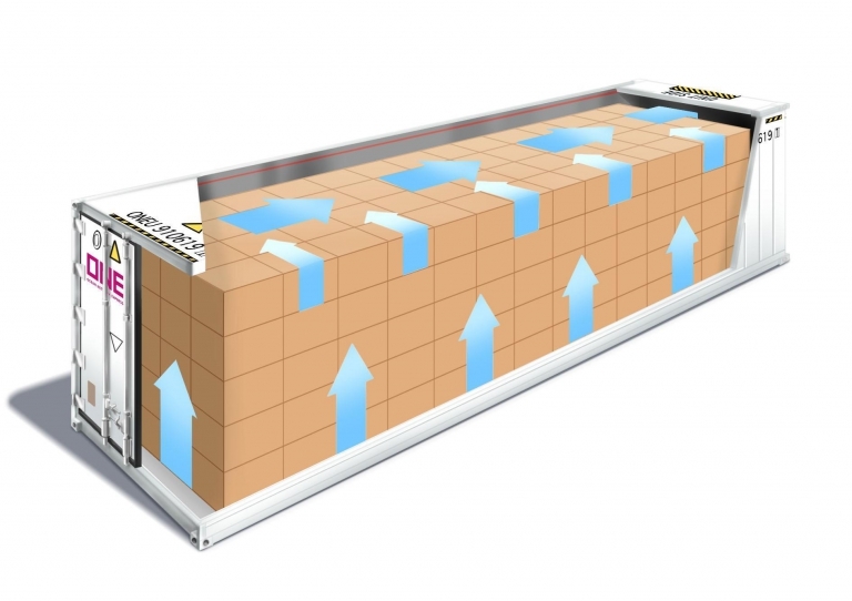 Airflow in a Reefer for Frozen Cargo